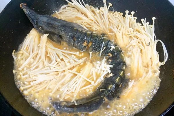 金针菇烧鲟鱼的做法图解7