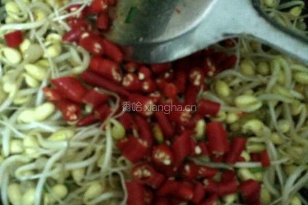 豆芽粉丝的做法图解4