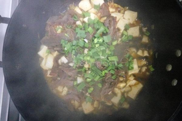 牛肉炖豆腐的做法图解7
