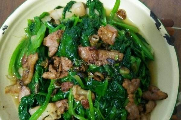 泼菜炒肉片的做法图解6