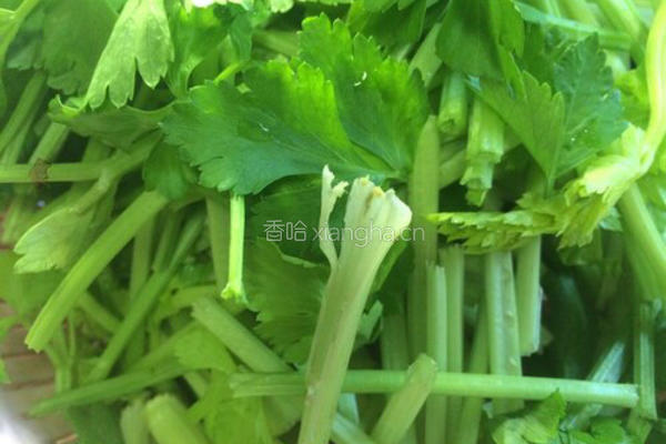 芹菜炒腊肉的做法图解3