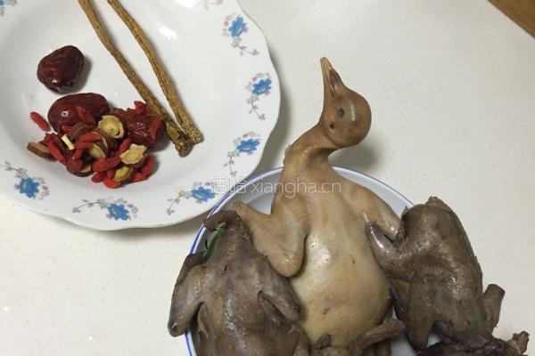 斑鸠乳鸽汤的做法图解2