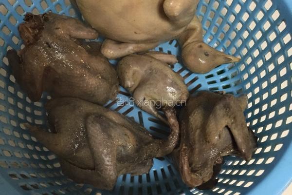 斑鸠乳鸽汤的做法图解1
