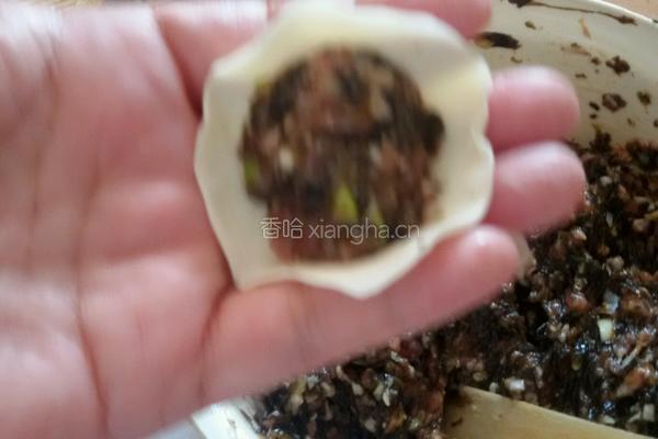 二月二的紫菜饺子的做法图解11