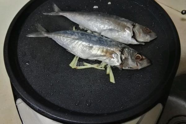 香煎巴浪鱼（电饼铛）的做法图解6