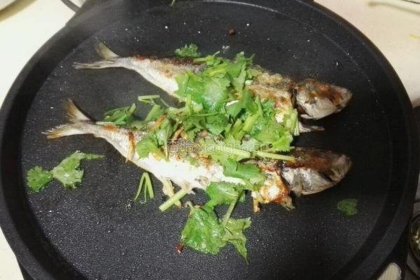 香煎巴浪鱼（电饼铛）的做法图解8
