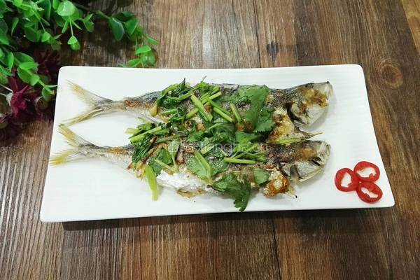 香煎巴浪鱼（电饼铛）的做法图解9