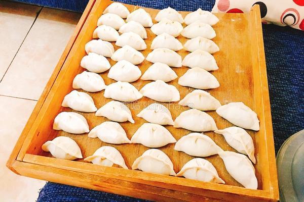 高压锅版茴香猪肉饺子的做法图解3