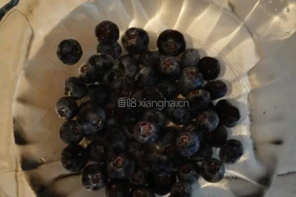 双莓美酸奶的做法图解1