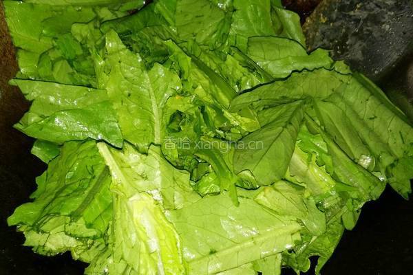 豆豉鲮鱼油麦菜的做法图解4