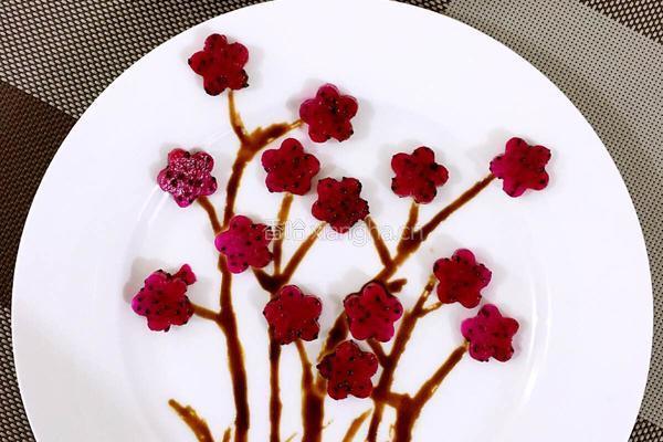 火龙果梅花树
