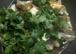 鱼煮豆腐