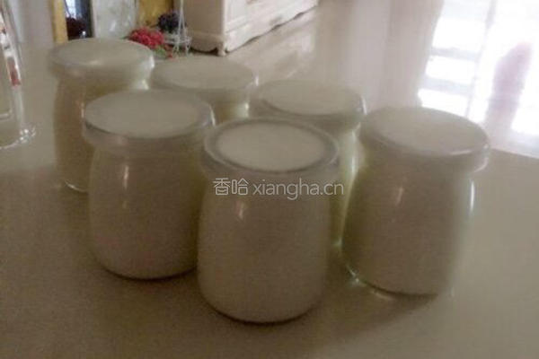 面包机自制酸奶的做法图解4