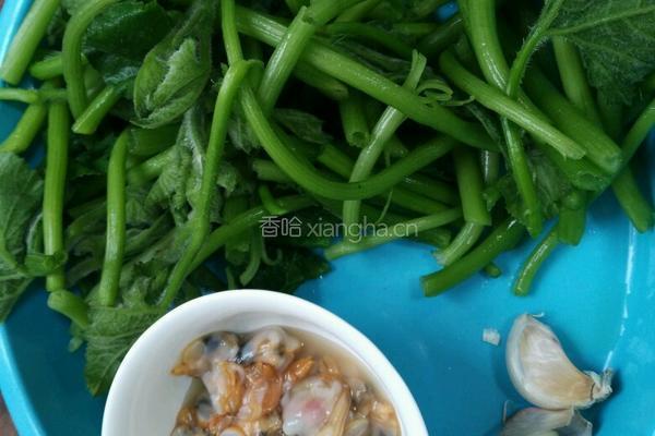 红螺炒南瓜苗的做法图解1