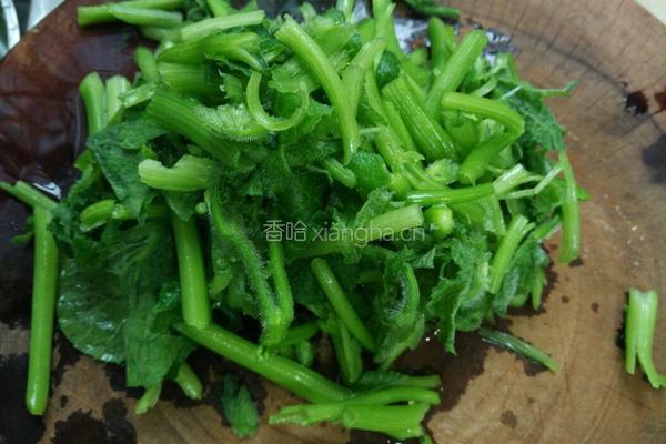 红螺炒南瓜苗的做法图解3