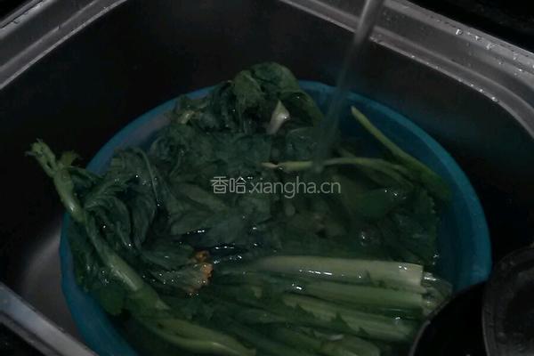 酸菜的做法图解5