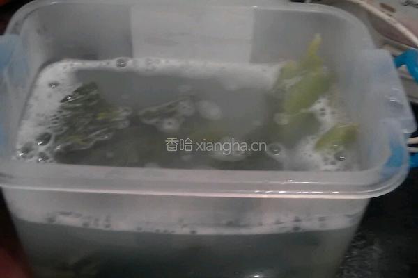 酸菜的做法图解8