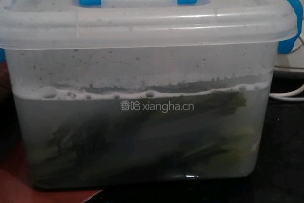 酸菜的做法图解9