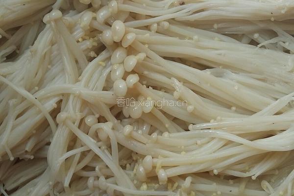 金针菇的做法图解2