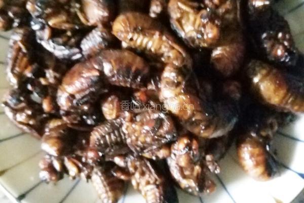 油炸金蝉的做法图解5