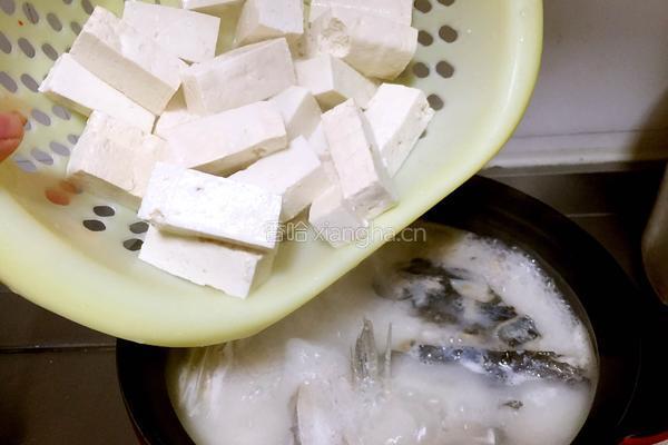 鱼头豆腐汤的做法图解7