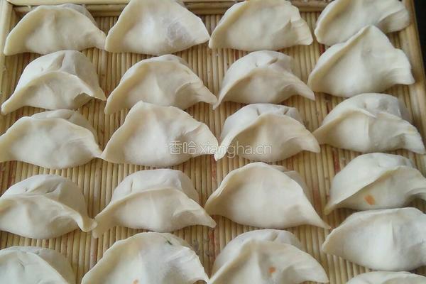 胡萝卜素馅饺子的做法图解8