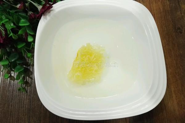 皂角米桃胶银耳羹的做法图解3