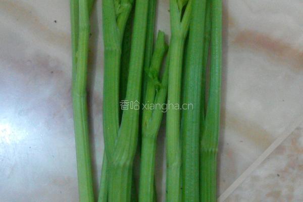 玉满堂的做法图解5