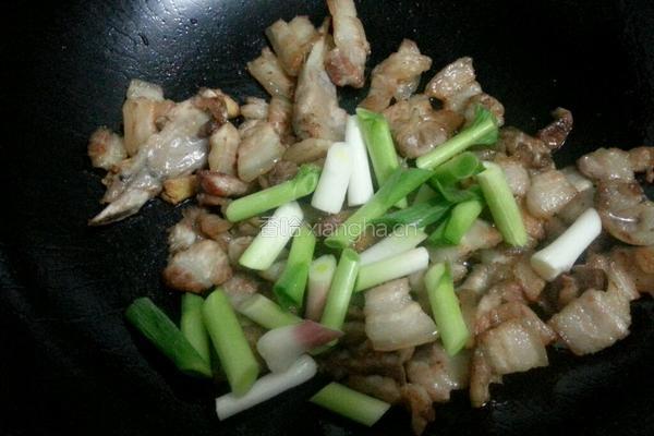 回锅肉的做法图解7