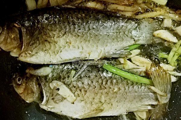 砂锅枸杞香菇鲫鱼豆腐汤的做法图解9