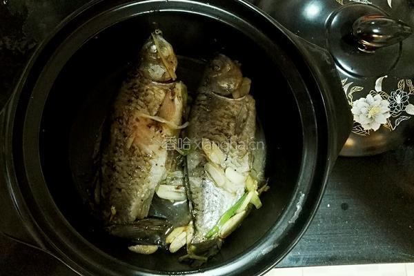 砂锅枸杞香菇鲫鱼豆腐汤的做法图解10