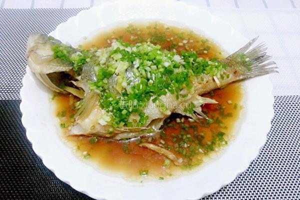 清蒸鲈鱼的做法图解10