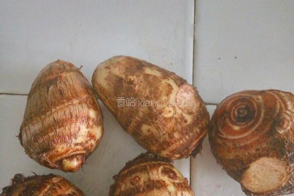 芋仔煲排骨的做法图解2