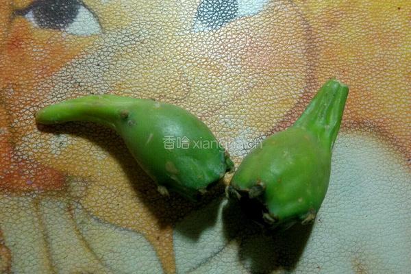 仙人掌果草莓酸奶的做法图解1