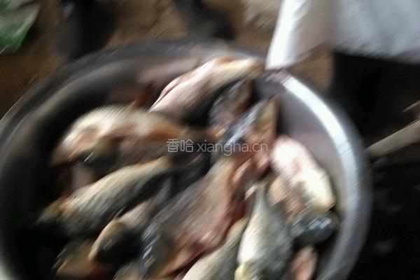 糖醋鲤鱼的做法图解2