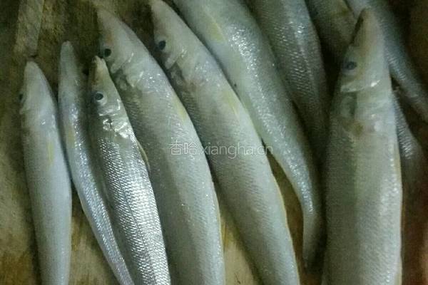 煎焖沙丁鱼的做法图解1