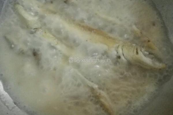 煎焖沙丁鱼的做法图解5