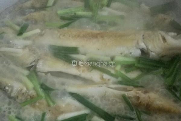 煎焖沙丁鱼的做法图解6