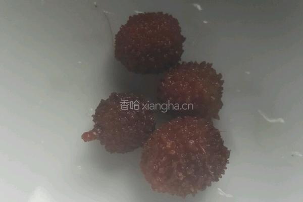砂仁炖排骨的做法图解1