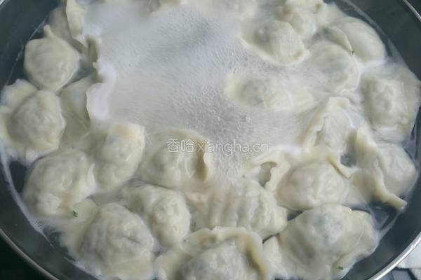 荠菜鲜虾水饺的做法图解16