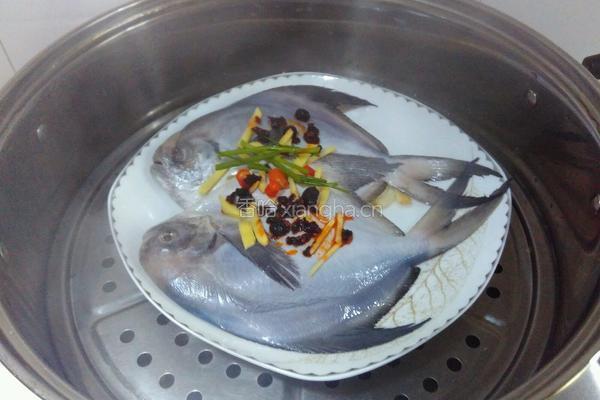 豆豉蒸鯧鳊鱼的做法图解4