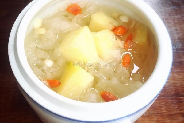 银耳南北杏木瓜糖水