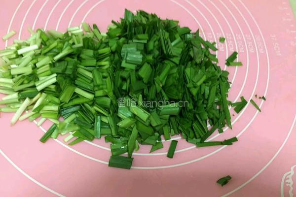 韭菜炒银芽(无辣椒版本)的做法图解2