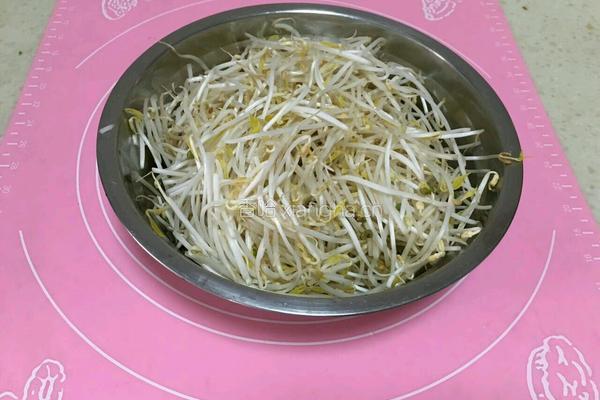 韭菜炒银芽(无辣椒版本)的做法图解3