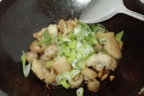 姜葱焖猪尾巴的做法图解5
