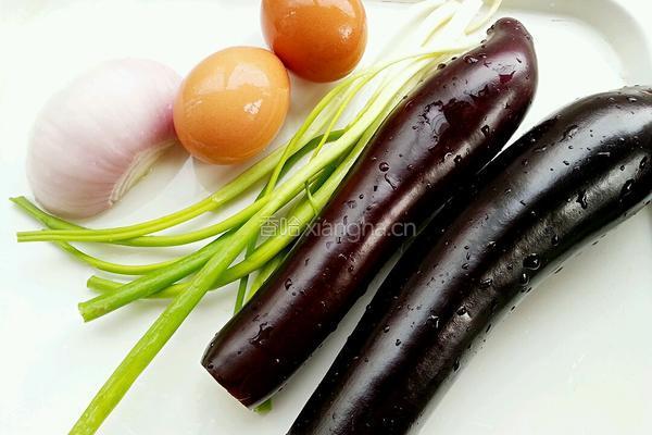 茄子鸡蛋水饺的做法图解3