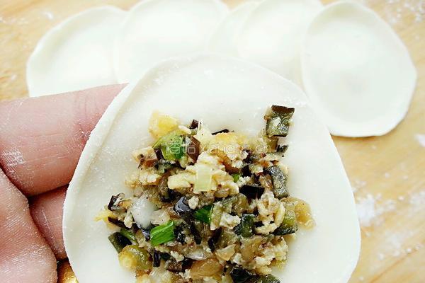 茄子鸡蛋水饺的做法图解16