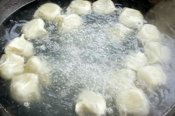 茄子鸡蛋水饺的做法图解22