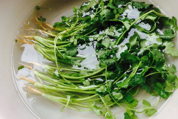豆腐香菜水饺的做法图解1