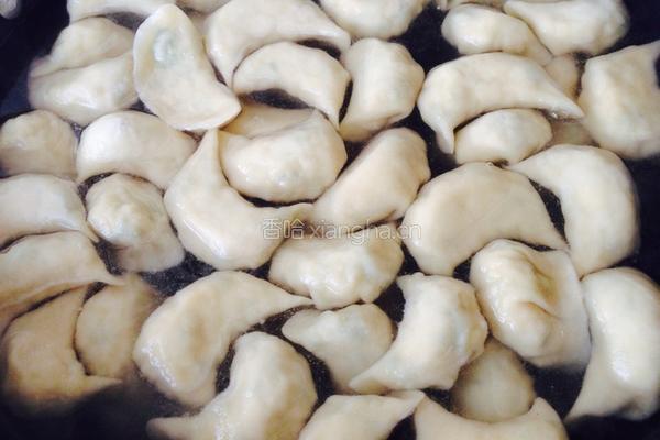 豆腐香菜水饺的做法图解15